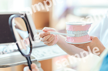 総合武道健成塾とは